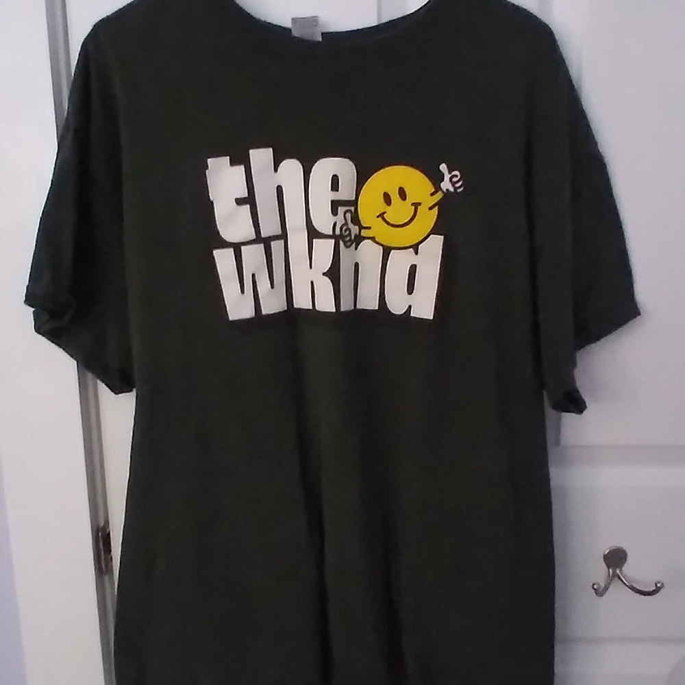 Green Tshirt - image 1